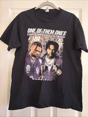 Chris Brown/Lil baby concert T L